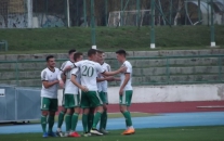 AFC Nové Mesto n/V : MŠK Považská Bystrica 3:1 (2:0)