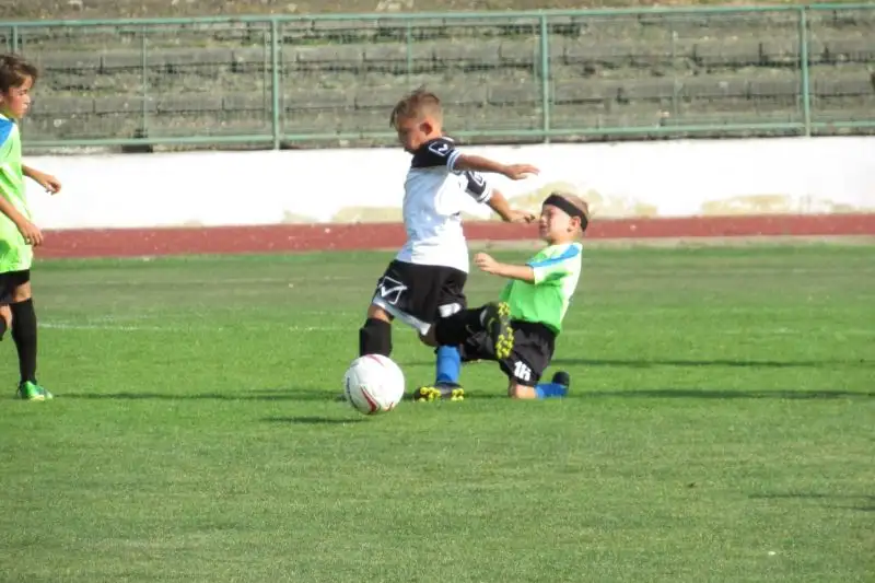 U9 AFC Nové Mesto n/V : ŠK Borovce 3:2 (2:0)