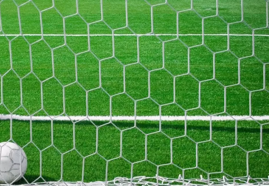 U9 ŠK Borovce : AFC Nové Mesto n/V 11:1 (6:1)