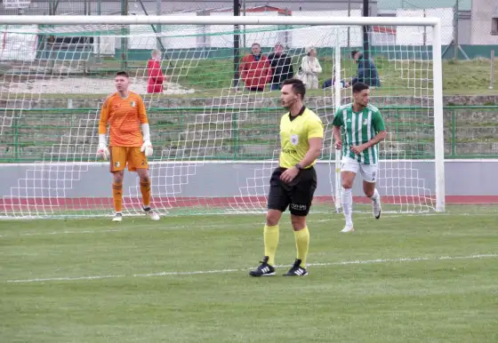 20.kolo AFC - Pata