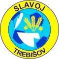Slavoj Trebišov